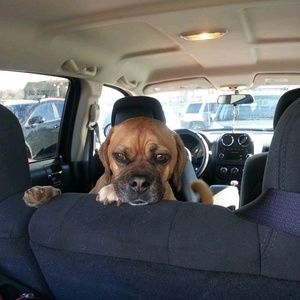 Meet your Posher, Jennaca